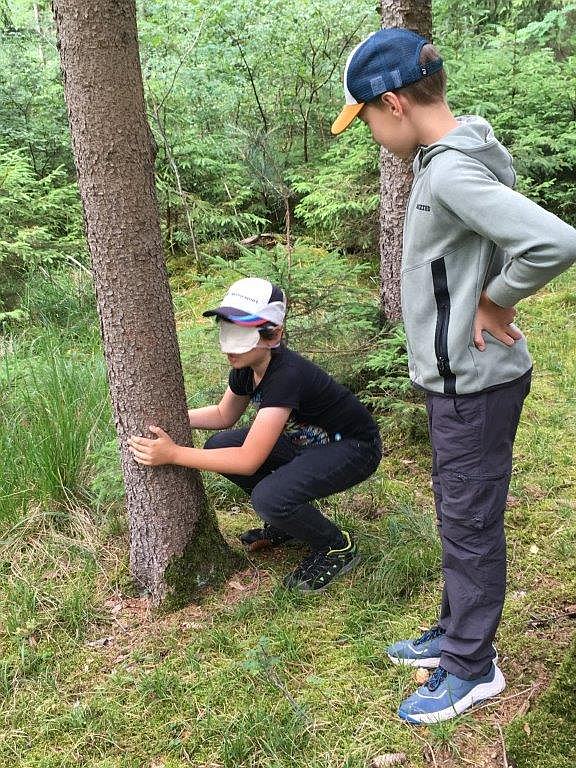 Waldwochenprojekt: Blätterrascheln