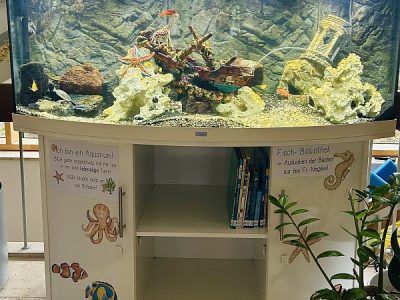 Ein Aquarium für die Grundschule Hochbrück