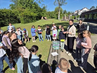 Distelfalter in der 1. Klasse