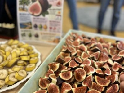 1. Gesunde Pause im Schuljahr 2026/27 – gesund genießen und gemeinsam stärken